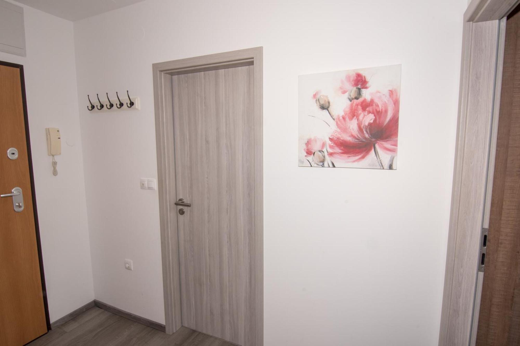 Apartmaji Aida 摩拉瓦托普利采 外观 照片